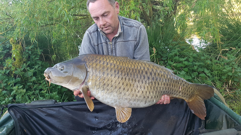 43lb 13 Common
