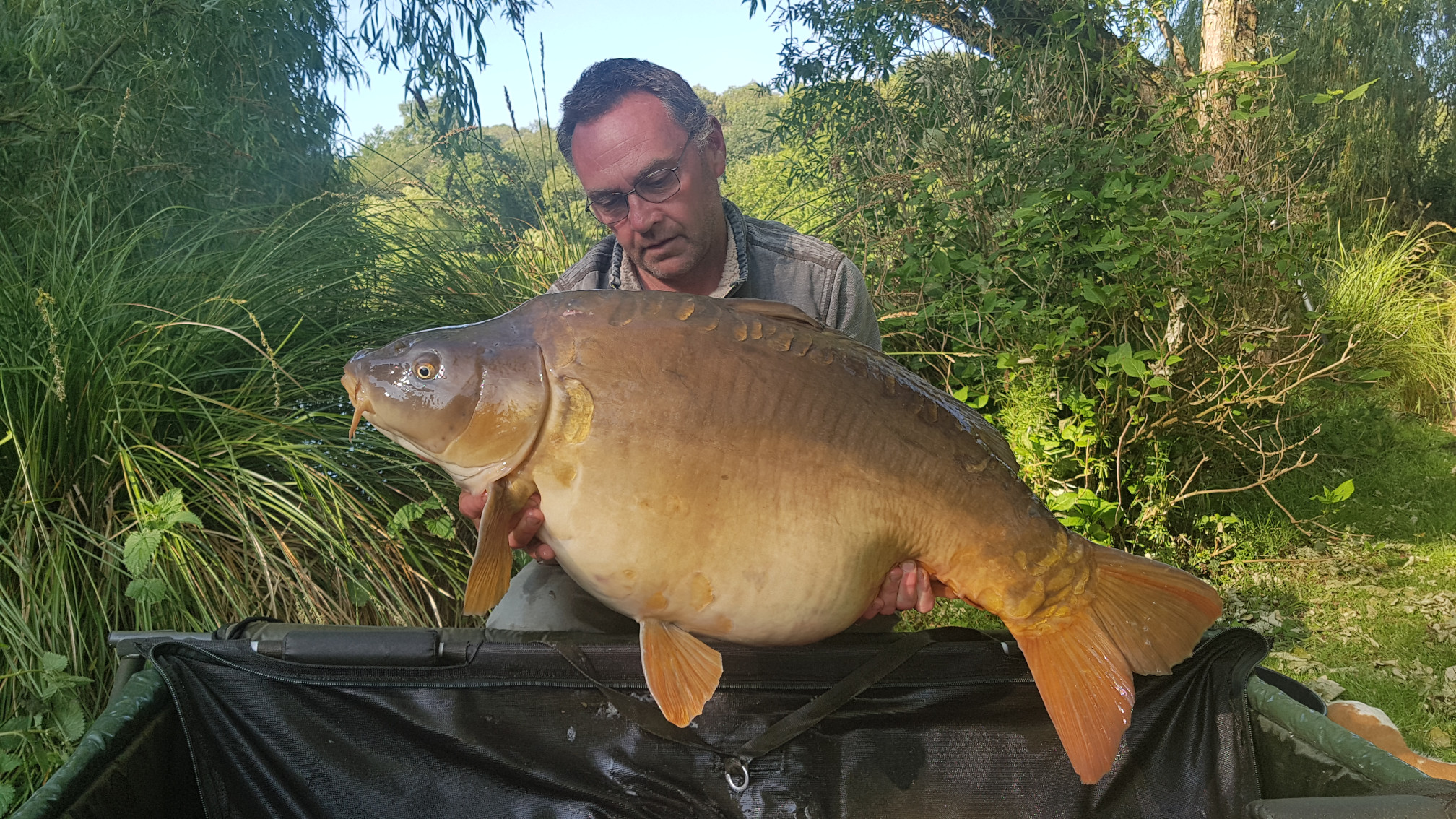51lb 8oz