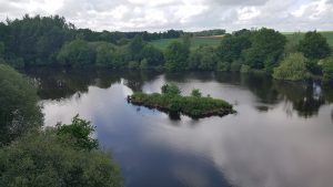 Carp Fishing in France at Redmill