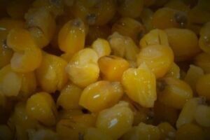 Maize