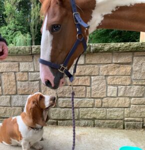 Arthur & Spirit