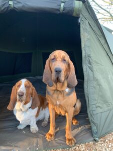 Arthur & Lilly